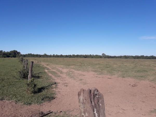 SE VENDE CAMPO. VILLA ANGELA-CHACO.