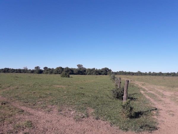 SE VENDE CAMPO. VILLA ANGELA-CHACO.