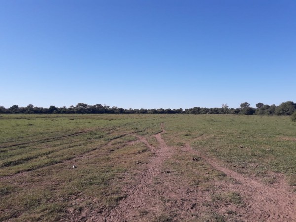 SE VENDE CAMPO. VILLA ANGELA-CHACO.