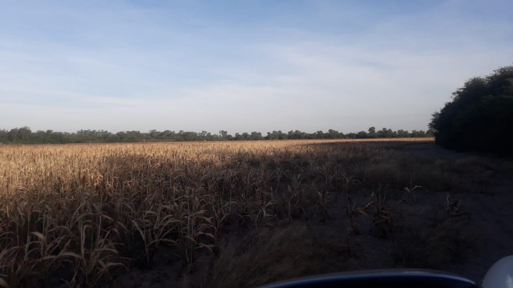 COLONIA LA MATANZA - QUITILIPI 