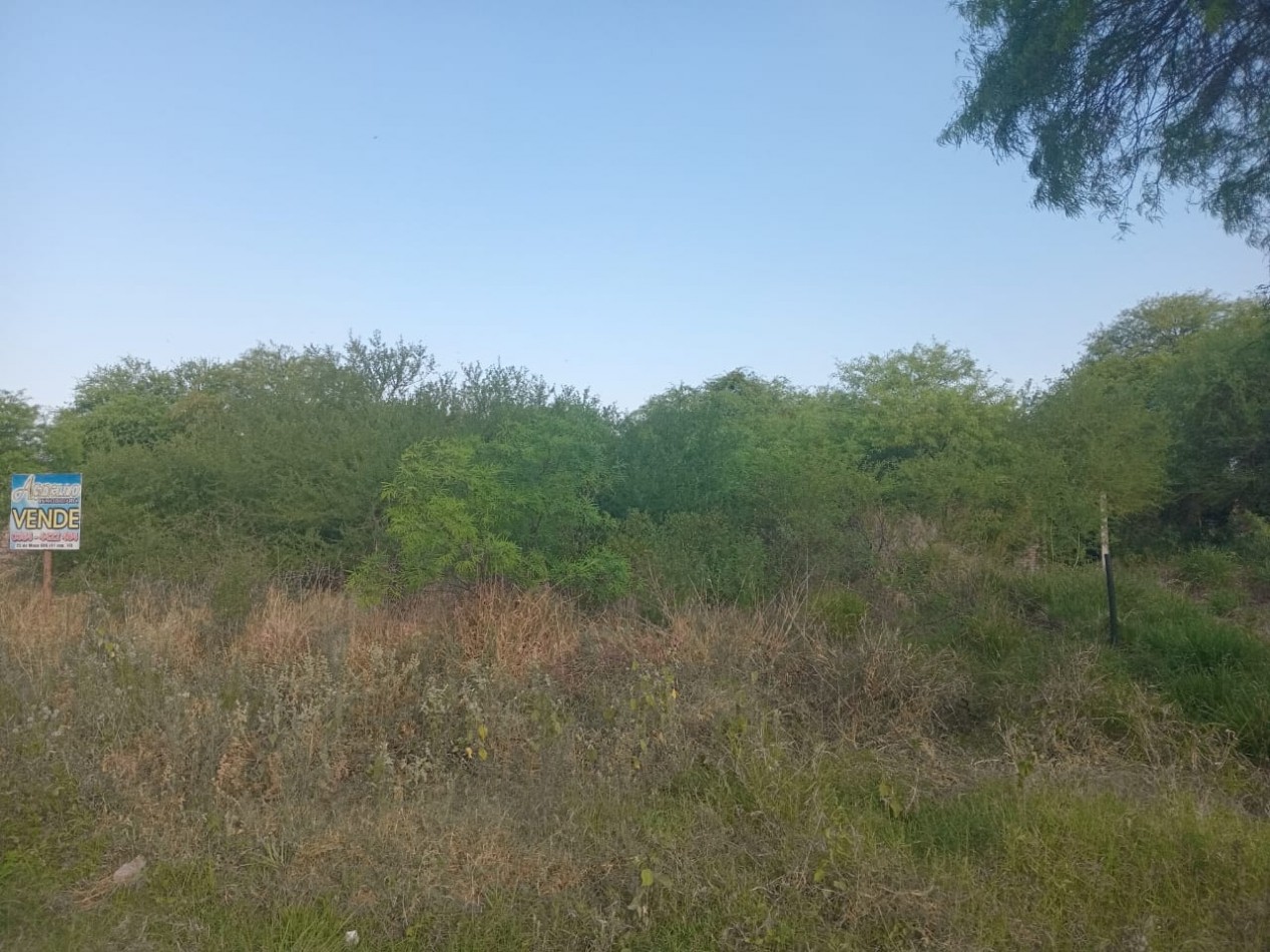 TERRENO - CASTELLI